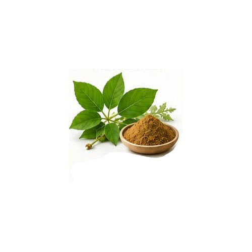 Cissus Extract