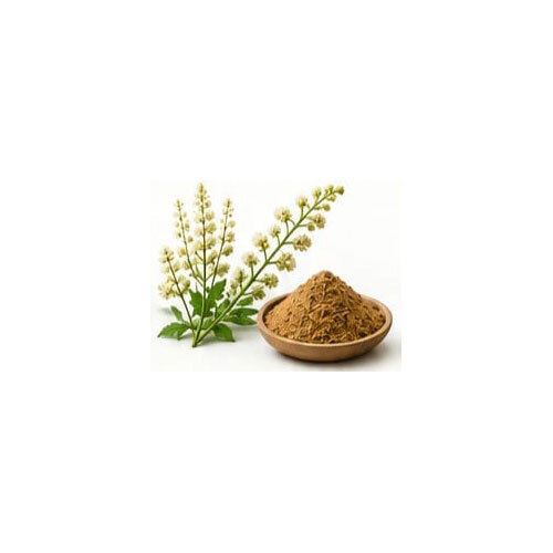 Black Cohosh Extract
