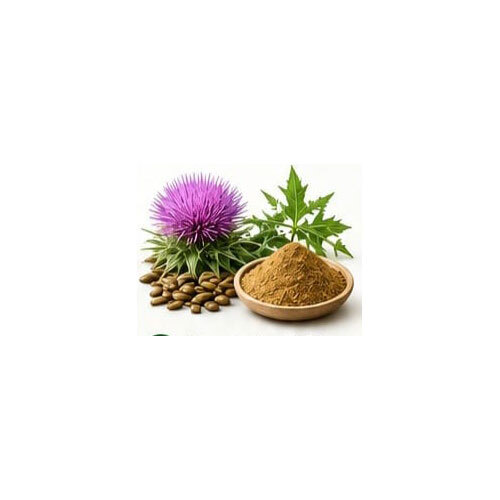 Milk Thistle Extract