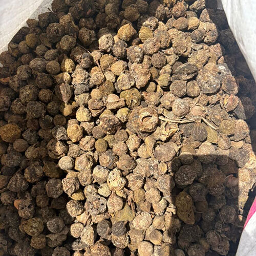 Dry Amla