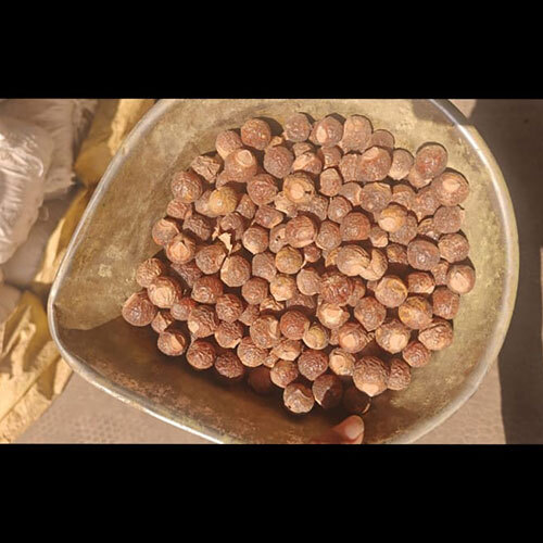 Big Soapnut Powder