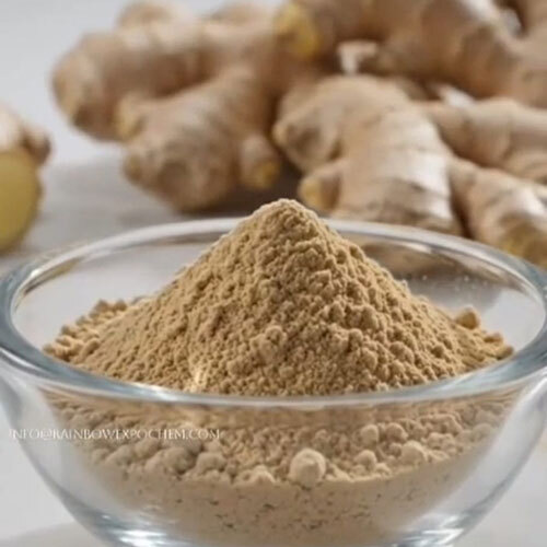 Spray Dried And Dehydrated Ginger Powder