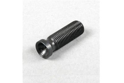MS Rocker Arm Screw
