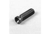 Ms Rocker Arm Screw
