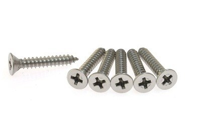 SS American Standard Screws