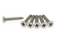 SS American Standard Screws