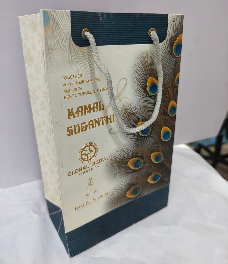 Decorative Paper Gift Carry Bag