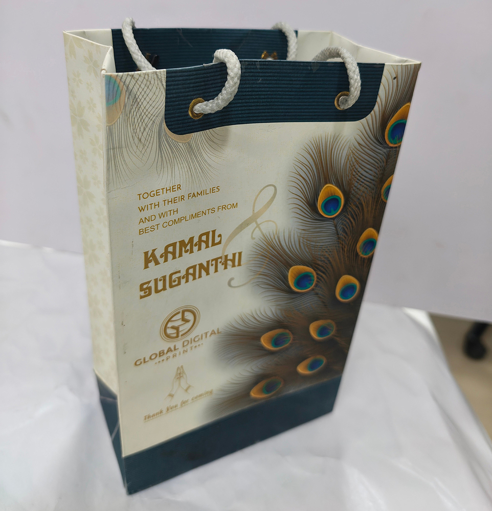Decorative Paper Gift Carry Bag