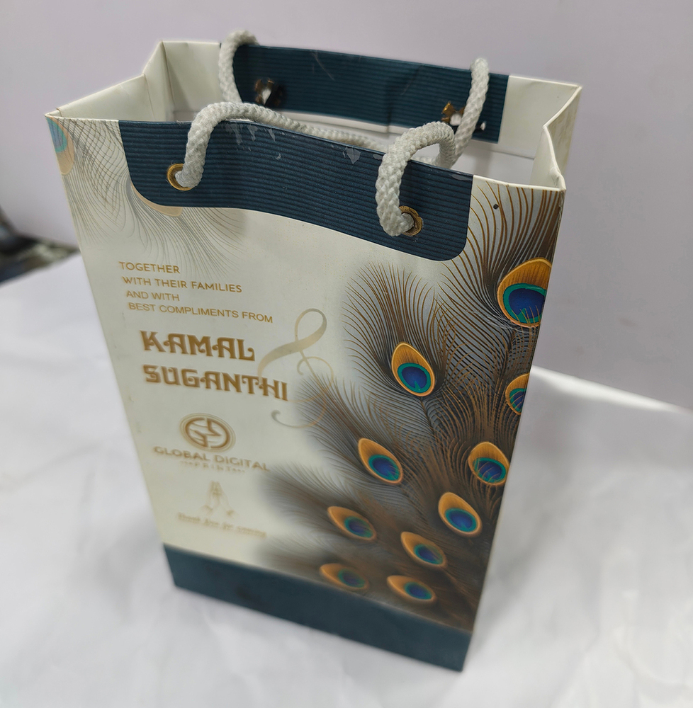 Decorative Paper Gift Carry Bag