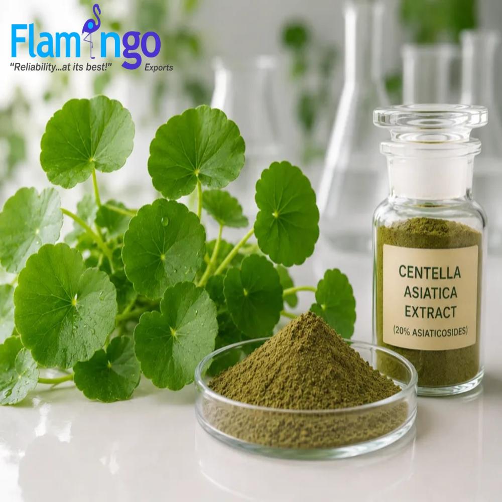 Centella Extract 40%
