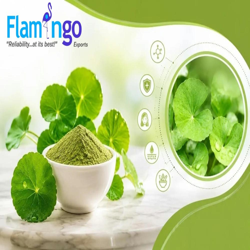 Centella Extract 40%