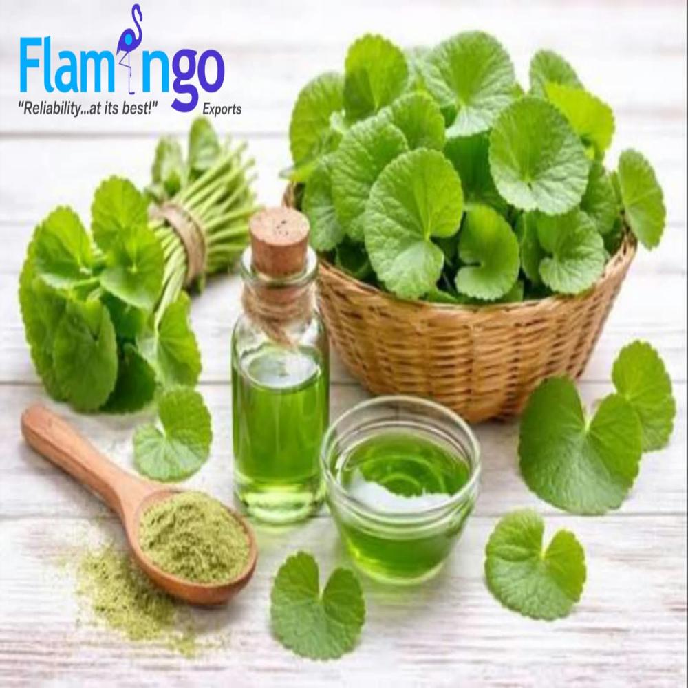 Centella Extract 40%