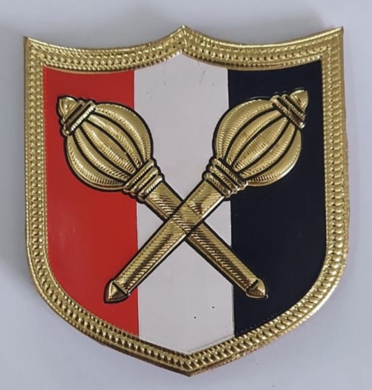   BSF FTR JAMMU BADGES