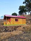 Bamboo House