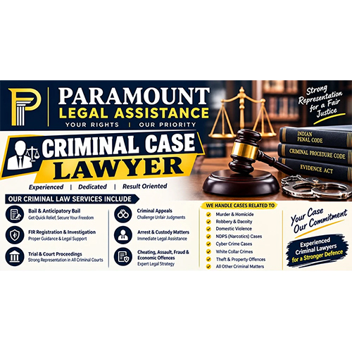 Criminal Case Lawyer