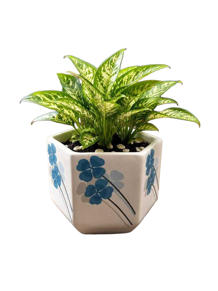 Hexagonal Blue Floral Planter Pot