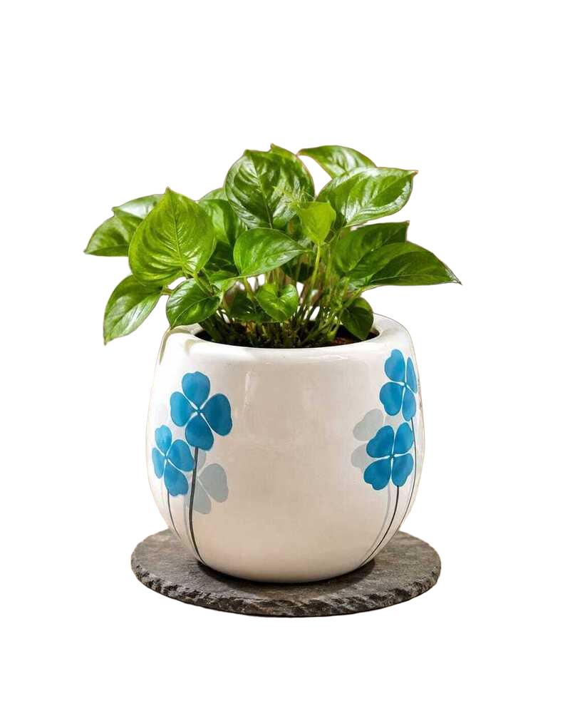 Pink Ceramic Glazed Flower Pot