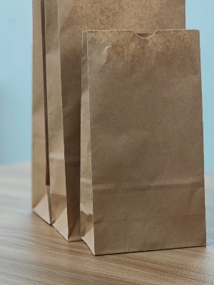 Food Take Away Bags - Coating Type: Kraft Paper