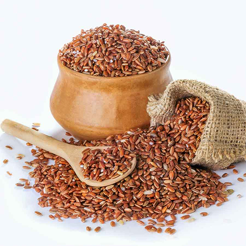 Red Weedy Rice