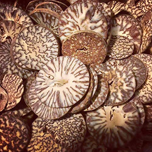 Whole Areca Nuts
