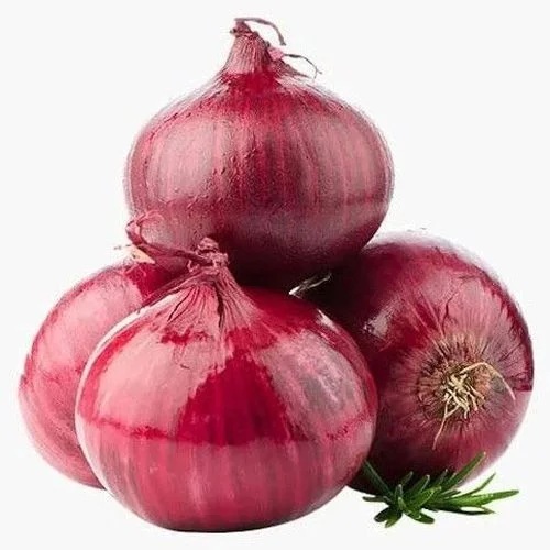 Fresh Red Onion