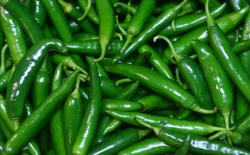G4 Green Chilli