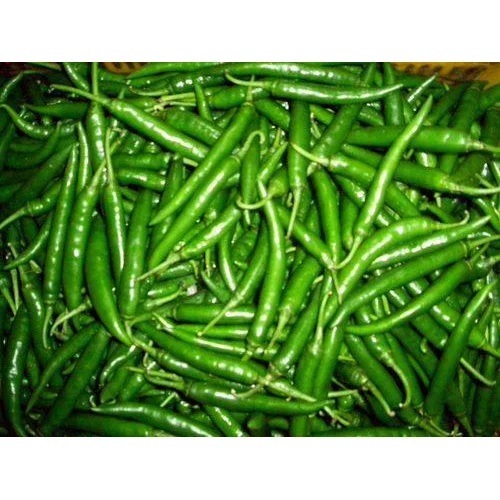 G4 Green Chilli