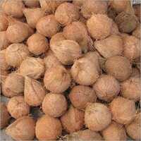 Brown Semi Husked Coconut