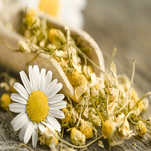 Chamomile Tea