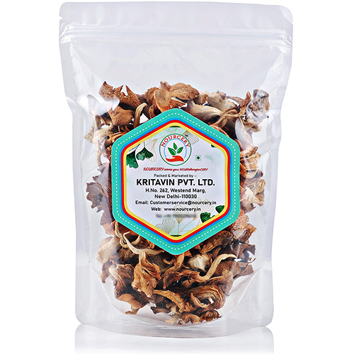 Oyster Mushroom