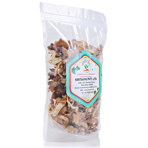 Oyster Mushroom