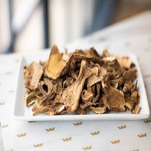 Porcini Mushroom