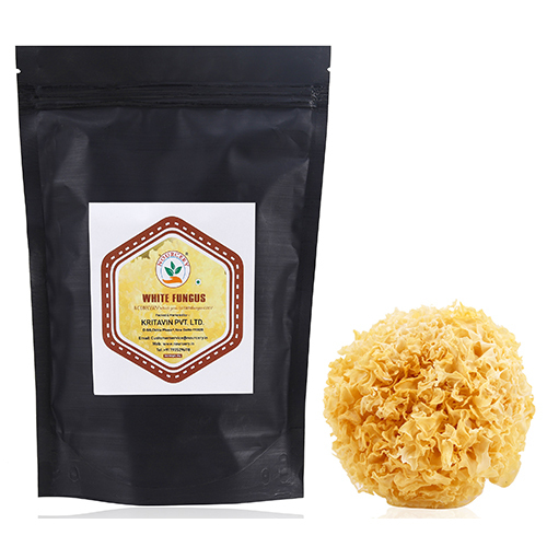 White Fungus