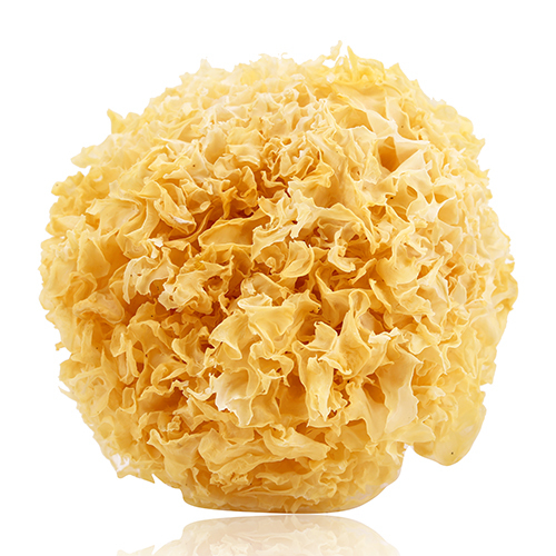 White Fungus