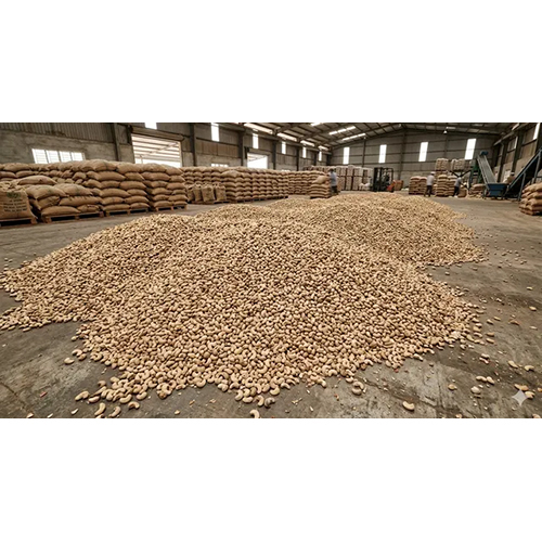 Raw Cashew Nuts