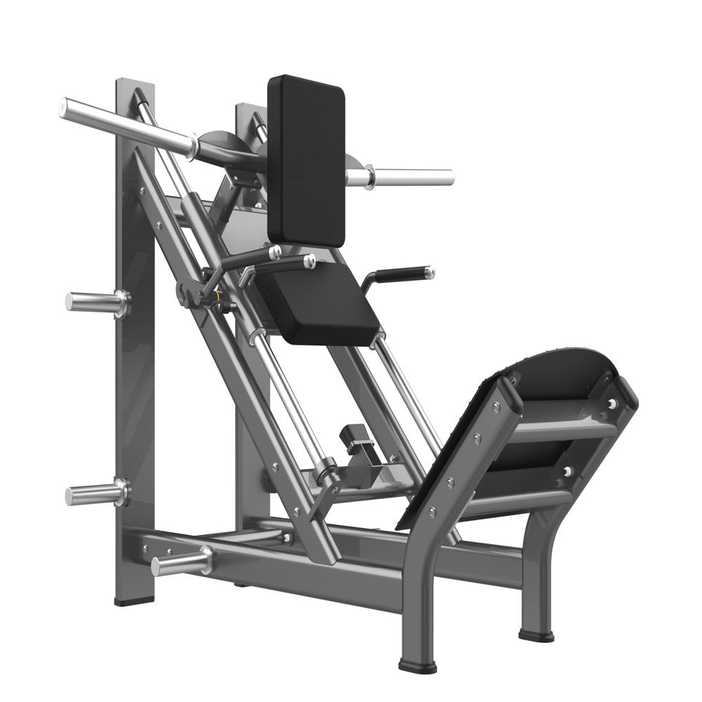 Hack Squat