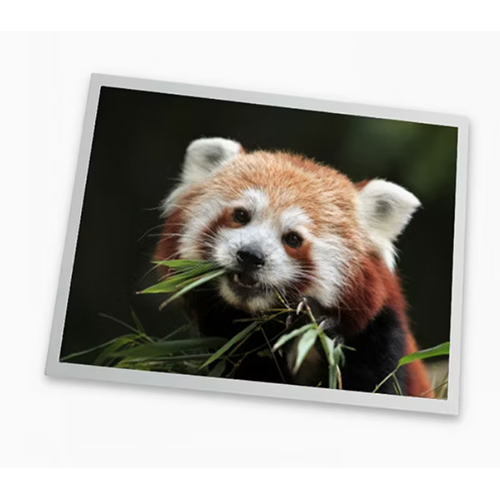 8.0 Inch A0800WXF1MB00 Lcd panel use for Industrial, Outdoor High Brightness