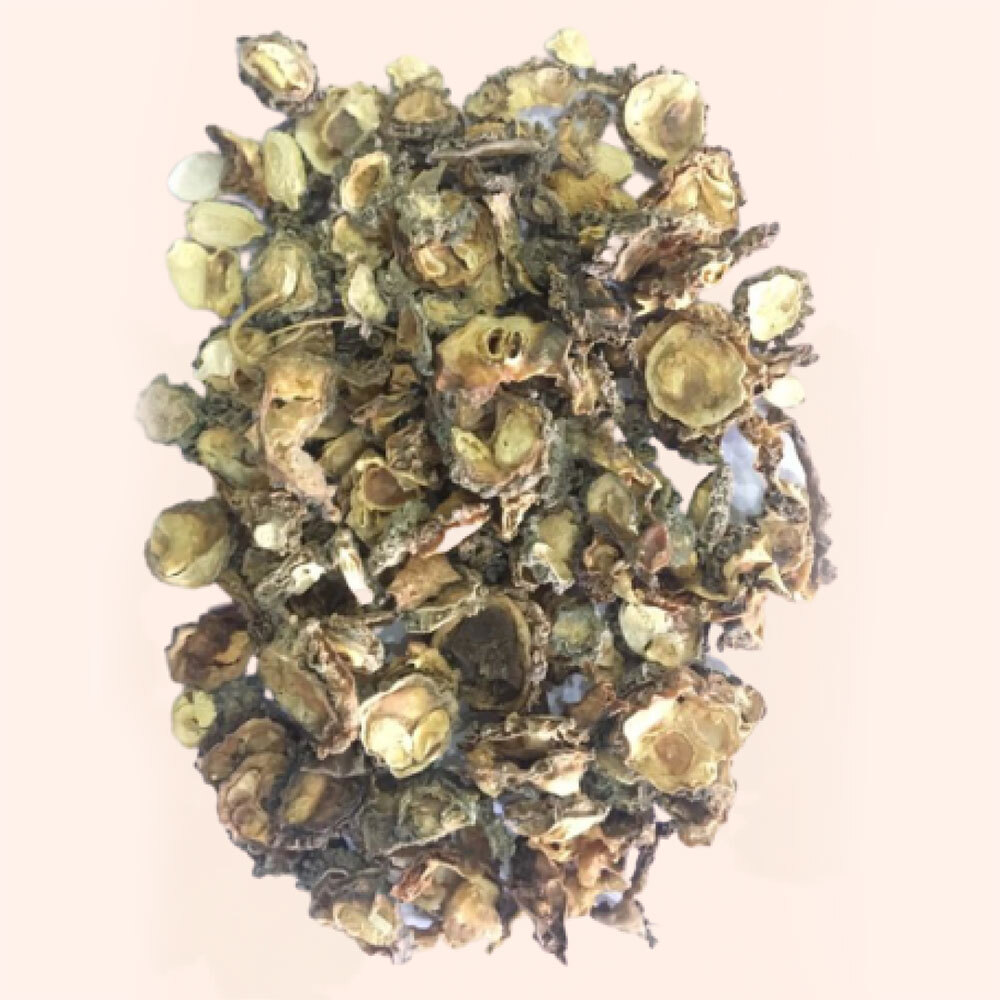 Momordica Charantia (Karela)