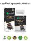 Shilajit capsule