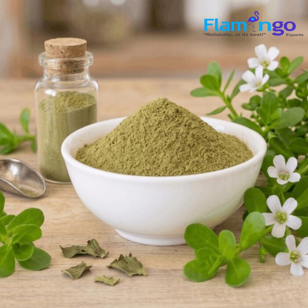 Bacopa Extract 40%