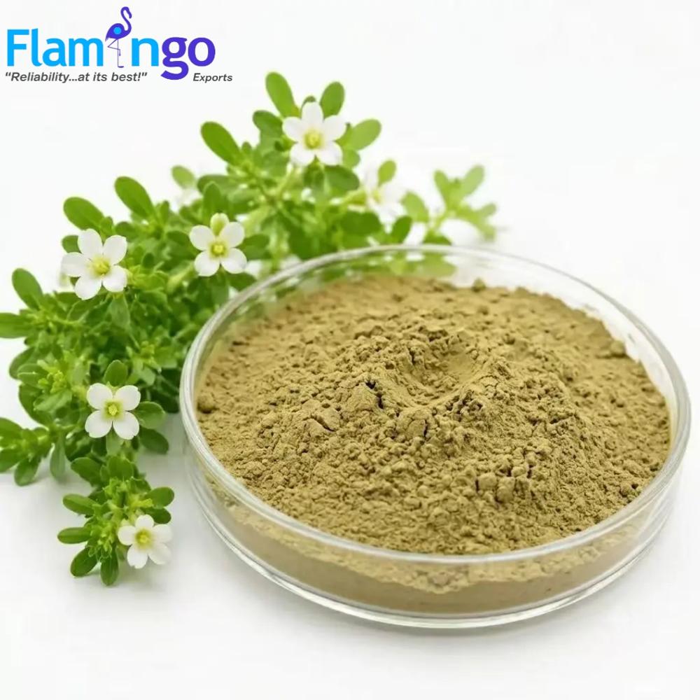 Bacopa Extract 40%