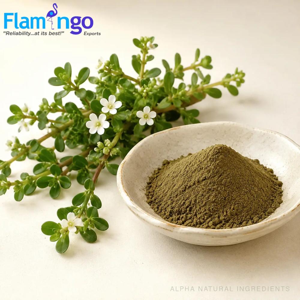 Bacopa Extract 40%