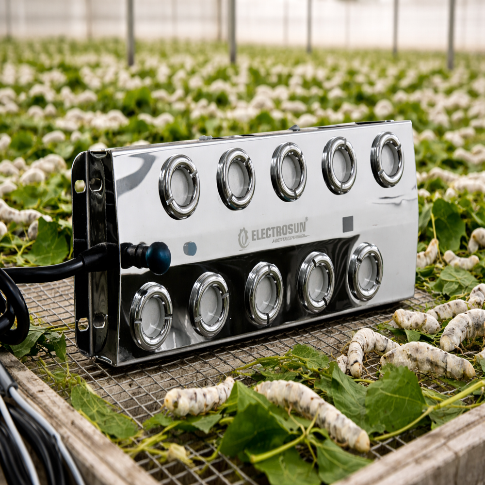 10 Head Sensor Ultrasonic Mist Maker - Capacity: 5 Liter/day