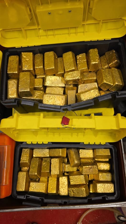 Gold 1KG/12.5KG Quality