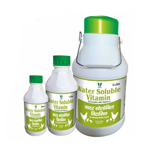 Water Soluble Vitamin