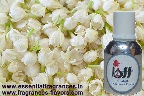 Motia Perfume Oil