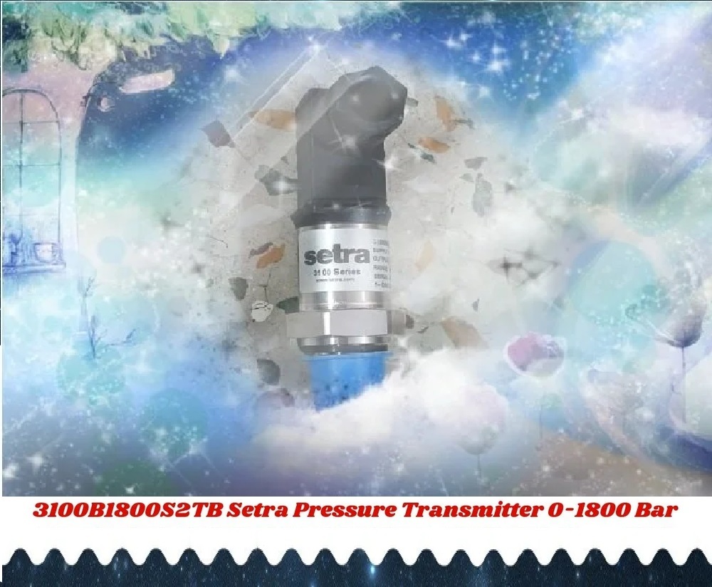 SETRA 3100B1800S2TB Pressure Transmitter 01800 Bar Supplier India