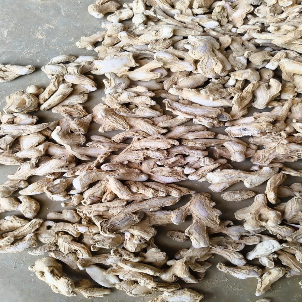 Dry Ginger