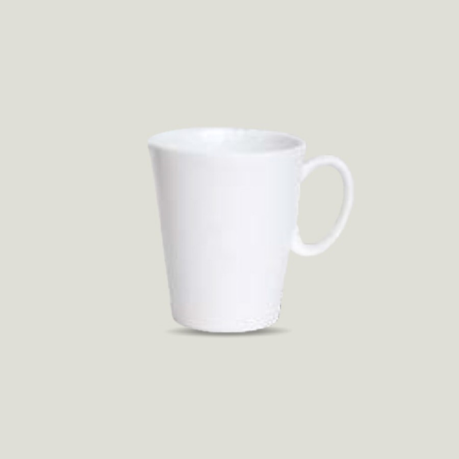 FG005527 Sante Mug