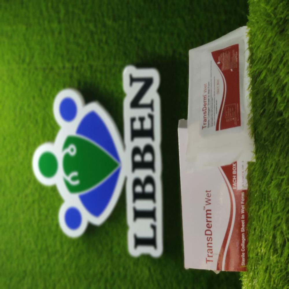Collagen Sheet